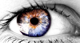 eye
